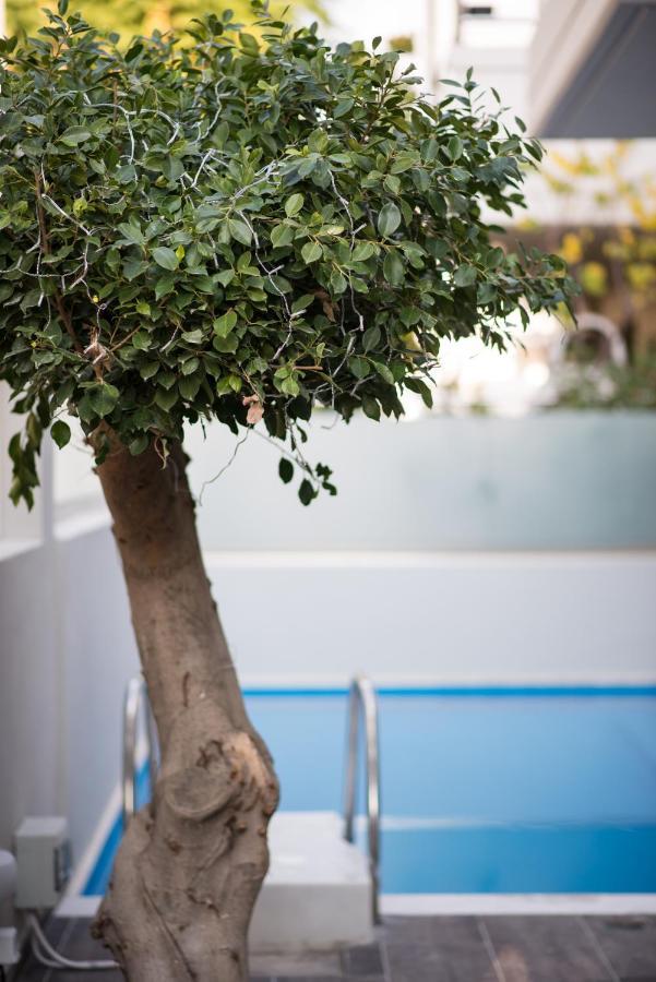 Palmyra Athens Villa Dış mekan fotoğraf